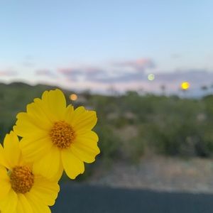 Meet your Posher, Cesia